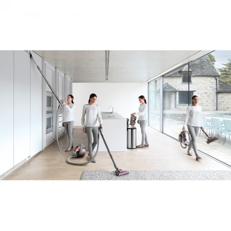 Пылесос Dyson Cinetic Big Ball Animalpro 2