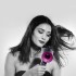 Фен Dyson Supersonic HD08 Vinca blue и Rosé с 5 насадками в боксе